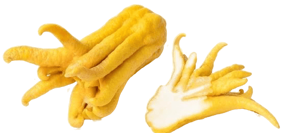 Mano de Buda