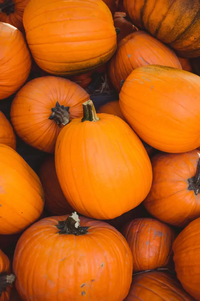 Calabazas