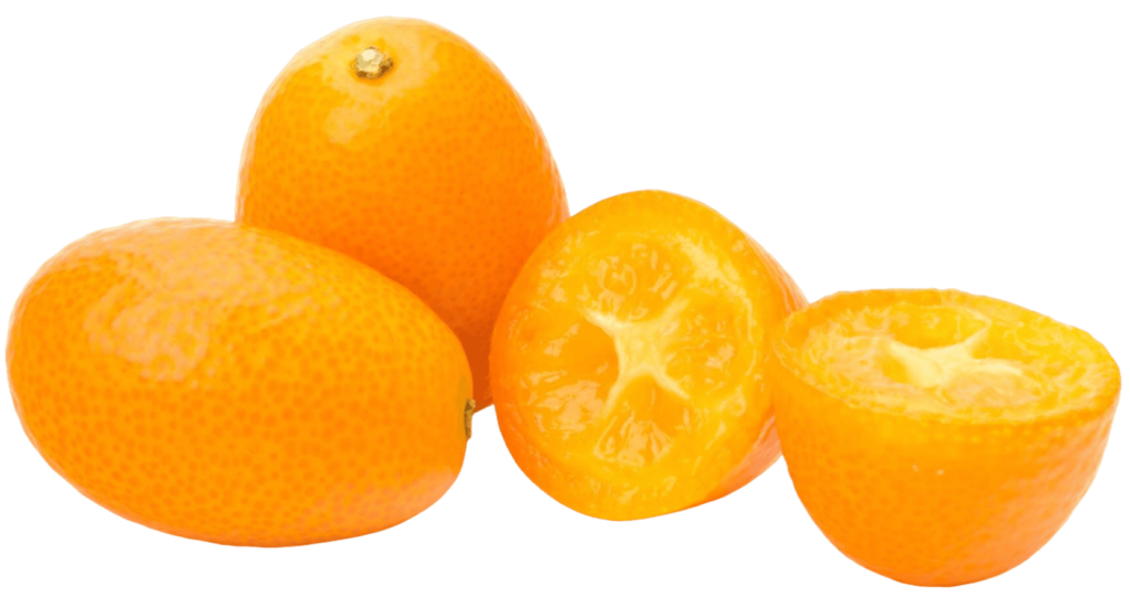 Kumquat