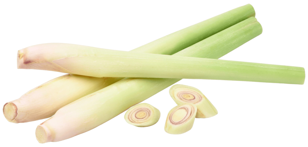 Lemongrass