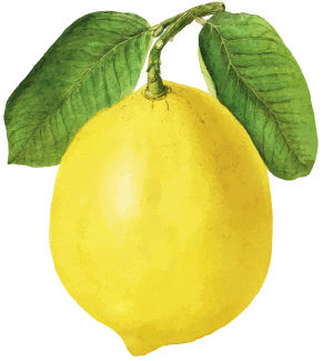 limon