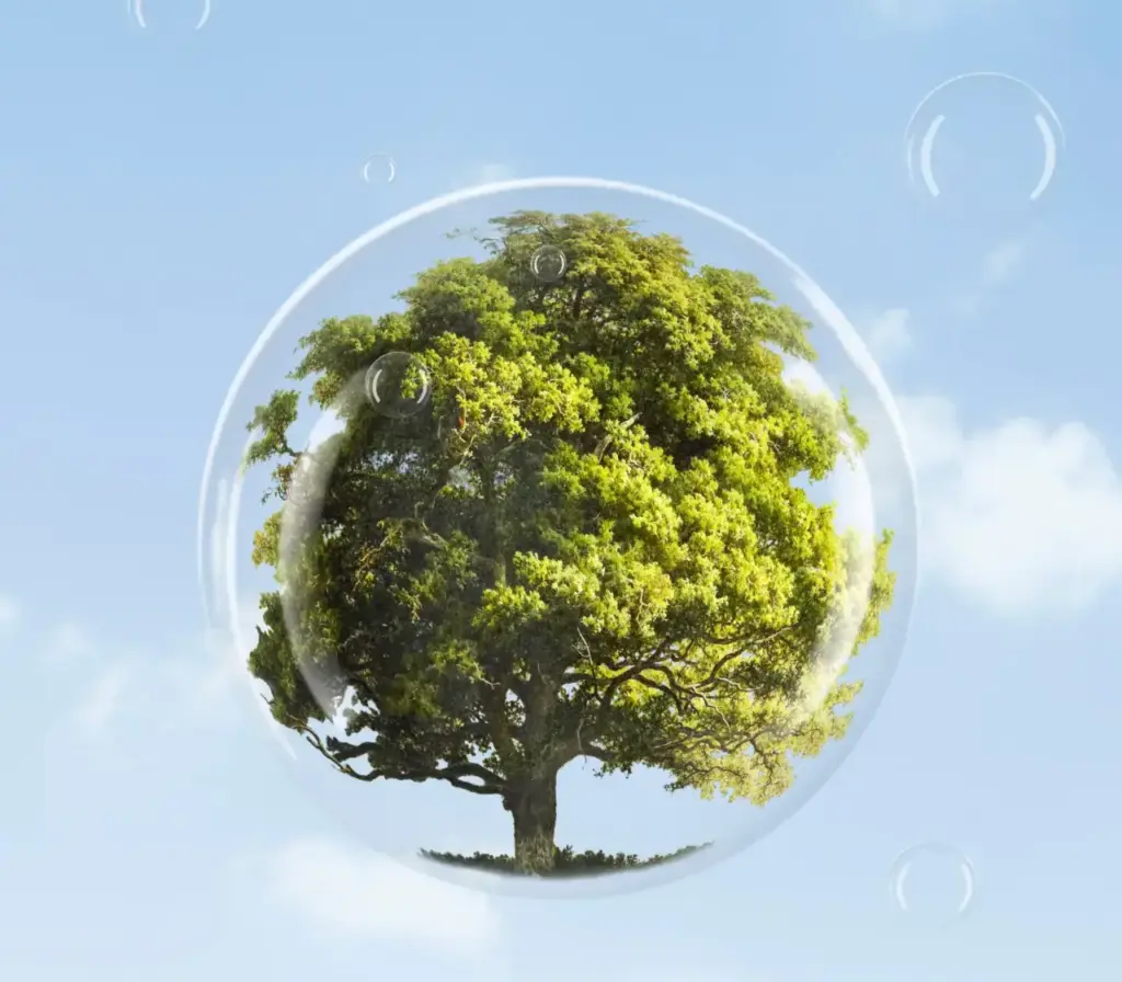Árbol en burbuja
